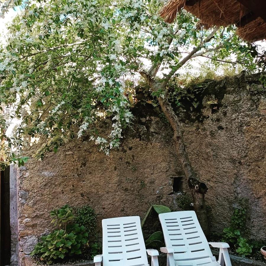 Adelina E Il Bosso Apartment Policastro Bussentino Exterior photo